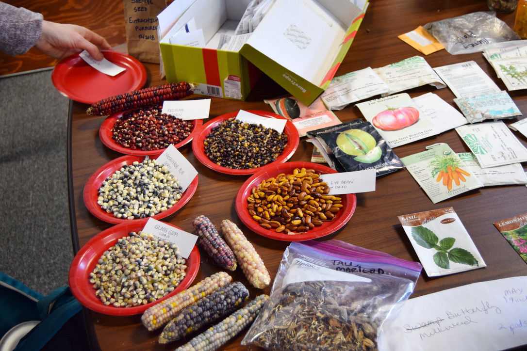 Seed Swap
